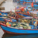 Nha-Trang-fishing-boats-moored1-1024x660.jpg